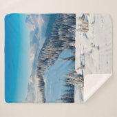 Oude houten textuur of achtergrond met termi sherpa deken (Voorkant (horizontaal))