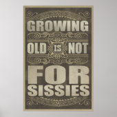 Oude Humor Poster (Voorkant)