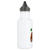 Oude Ierse drinkfles Waterfles (Links)