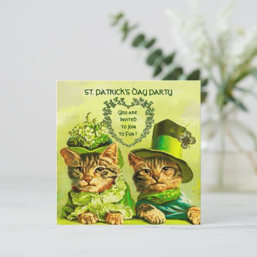 OUDE IERSE KATTEN, ST.PATRICKS FEestPARTY Kaart (Staand voorkant)