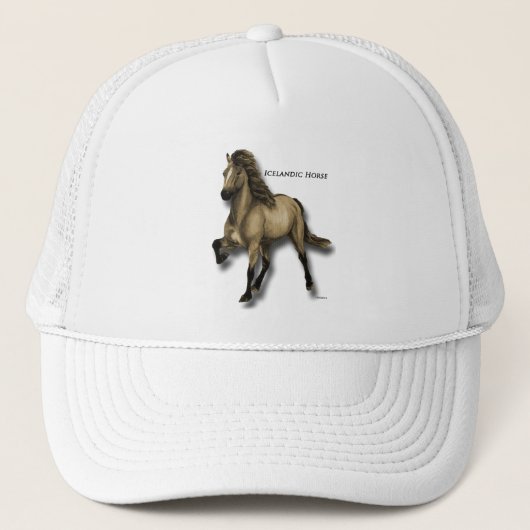Oude IJslandse stijl Trucker Pet (Voorkant)