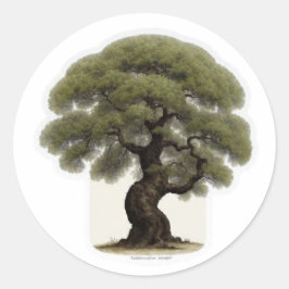 Oude IJzerhouten Boom Geest Sticker - WayanGaller