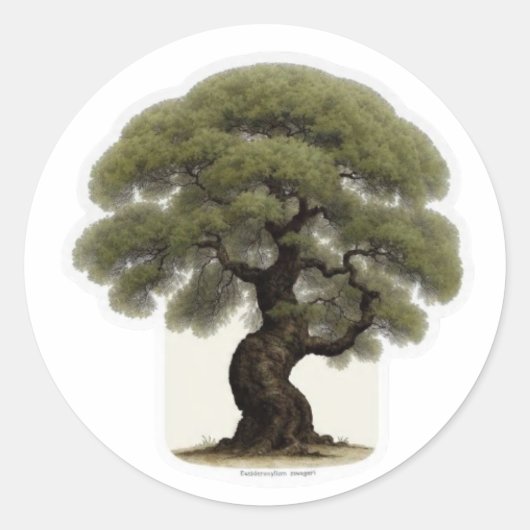 Oude IJzerhouten Boom Geest Sticker - WayanGaller (Voorkant)