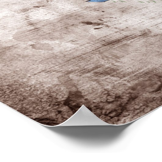 Oude Illinoisan Flag; Poster (Hoek)