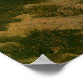 Oude Indianen, Roofdieren van de Prairie, Seltzer, Poster (Hoek)