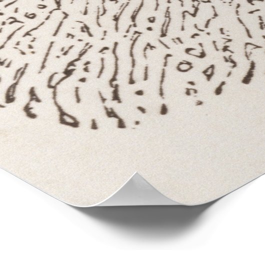 Oude Indiase begraafplaats Poster (Hoek)