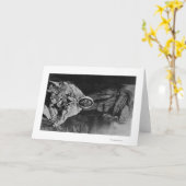 Oude Indische Medicijnman in de Foto van Alaska Kaart (Gele Bloem)