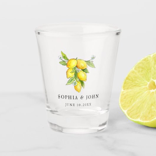 Oude Italiaanse Aquarel Citroenen Shot Glas (Voorkant)