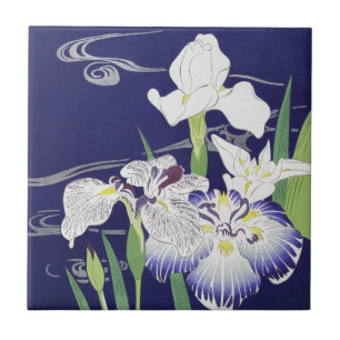 Oude Japanse Iris-kunstprint Kogyo Tsukioka Tegeltje