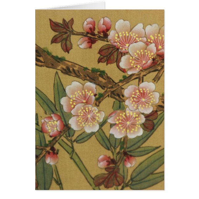 Oude Japanse Kersenbloesem Aziatische Bloemen (Voorkant)