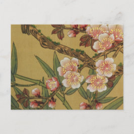 Oude Japanse Kersenbloesem Aziatische Bloemen Briefkaart