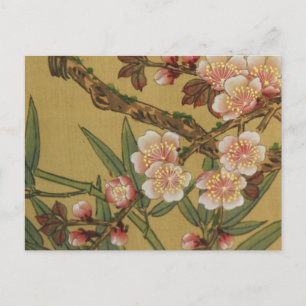 Oude Japanse Kersenbloesem Aziatische Bloemen Briefkaart
