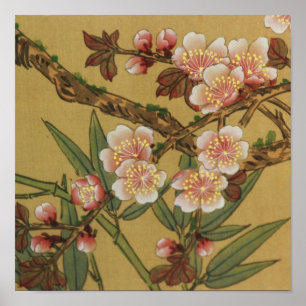 Oude Japanse Kersenbloesem Aziatische Bloemen Poster