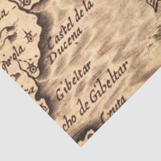 Oude Kaart Reeks 1 Ontwerp 7 Tissuepapier (Detail)