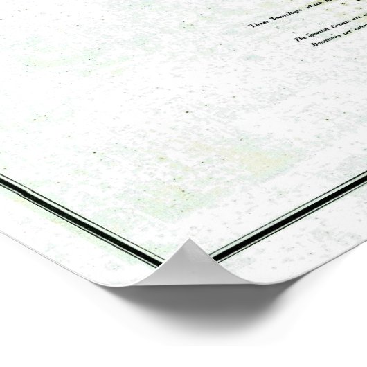 Oude kaart van 1856 Florida Poster (Hoek)