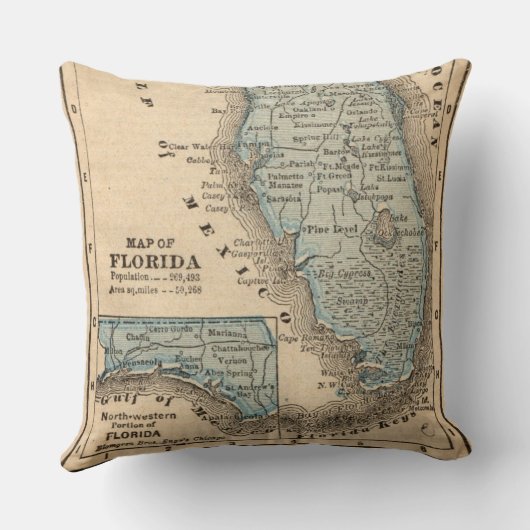 Oude kaart van de staat Florida kussen (Achterkant)