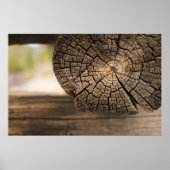 Oude kajuittextuur poster (Voorkant)