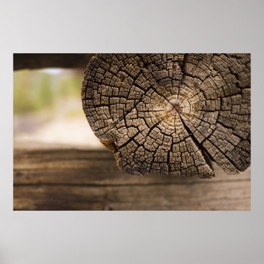 Oude kajuittextuur poster (Voorkant)