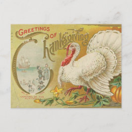 Oude kalkoen voor Thanksgiving Briefkaart