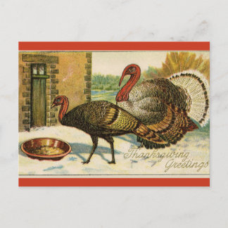 Oude kalkoenen eten met Thanksgiving Briefkaart