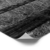 Oude kamper in zwart-wit poster (Hoek)