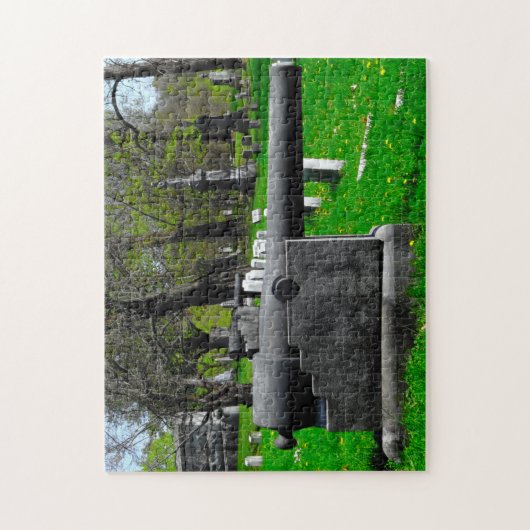Oude kanonnen uit de burgeroorlog. legpuzzel (Verticaal)