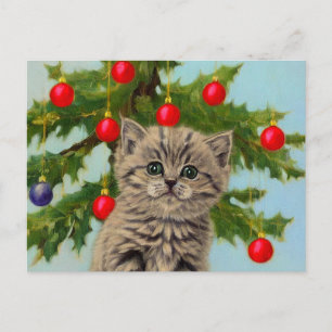 Oude kat en kerstboom briefkaart