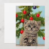 Oude kat en kerstboom feestdagenkaart (Voorkant / Achterkant)