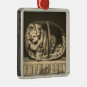 Oude kat in een mand metalen ornament (Rechts)