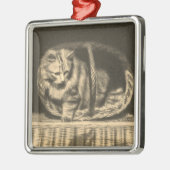 Oude kat in een mand metalen ornament (Links)