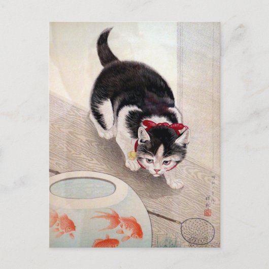Oude kat met goudvis briefkaart (Voorkant)
