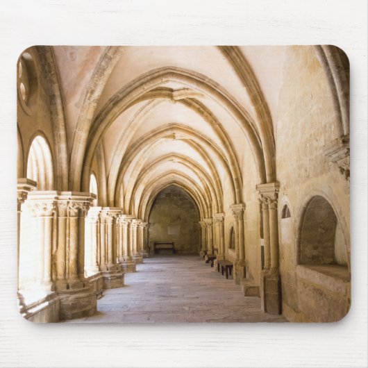 Oude Kathedraal kloostergang Muismat (Voorkant)