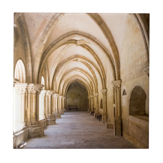 Oude Kathedraal kloostergang Tegeltje (Voorkant)