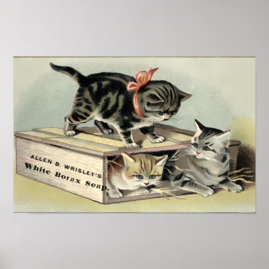 Oude katjes uit het Victoriaanse tijdperk op zeepa Poster (Voorkant)