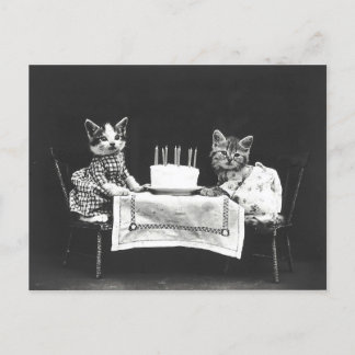 Oude katten op een verjaardagsfeestje briefkaart