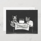 Oude katten op een verjaardagsfeestje briefkaart (Voorkant / Achterkant)