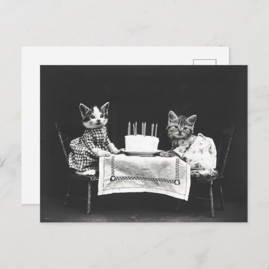 Oude katten op een verjaardagsfeestje briefkaart (Voorkant / Achterkant)