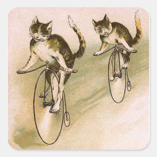 Oude katten op fietsen vierkante sticker (Voorkant)
