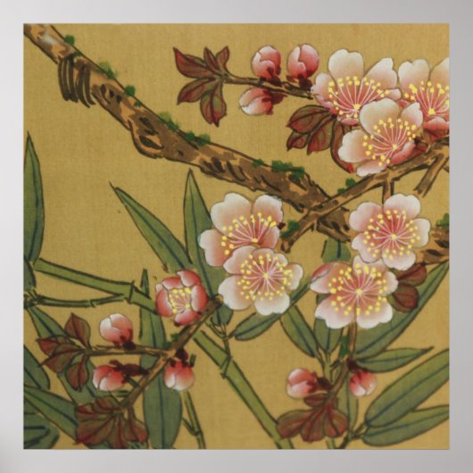 Oude Kersenbloesems Aziatische Japanse Bloemen Poster (Voorkant)