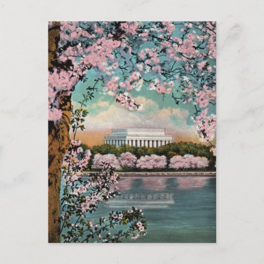 Oude Kersenbloesems Washington DC Ansichtkaart Briefkaart (Voorkant)