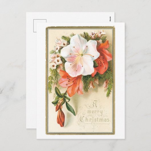 Oude kerst, bloem feestdagenkaart (Voorkant / Achterkant)