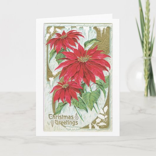 Oude kerst, Poinsettia Feestdagen Kaart (Voorkant)