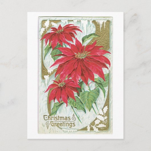 Oude kerst, Poinsettia Feestdagenkaart (Voorkant)
