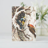 Oude kerstansichtkaart met vogels in de sneeuw kaart (Staand voorkant)