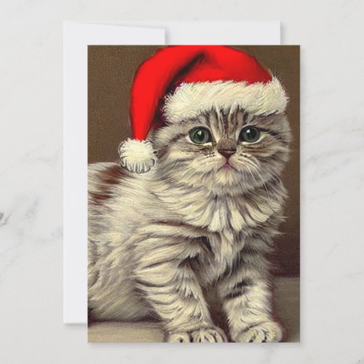 Oude Kerstkat met Kerstmannenhoed Feestdagenkaart (Voorkant)