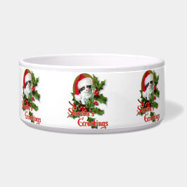 Oude kerstkerstfeestjes en groeten van het seizoen voerbakje