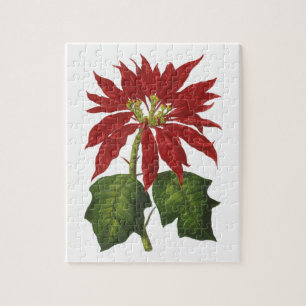 Oude Kerstmis, Rode Poinsettia Winterplant Legpuzzel