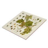 Oude keuken kunst: groene druiven wijnstok tegeltje (Zijkant)