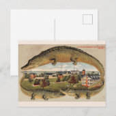 Oude Key West Alligator Prentbrief Briefkaart (Voorkant / Achterkant)