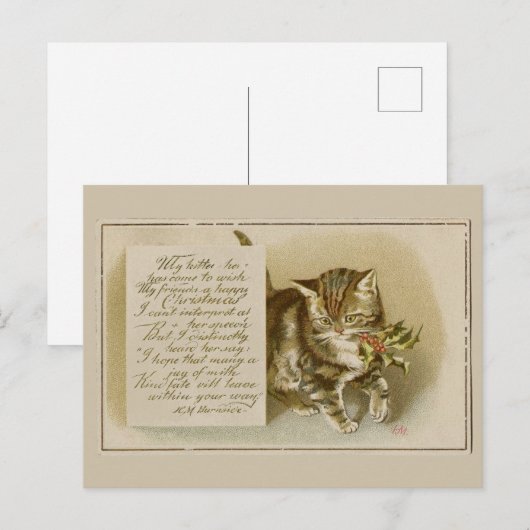 Oude Kittens Kerstkaart Feestdagenkaart (Voorkant / Achterkant)